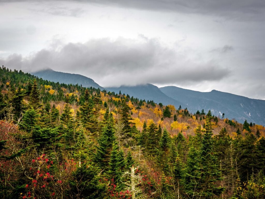 White Mountain National Forest landscape photos during autumn